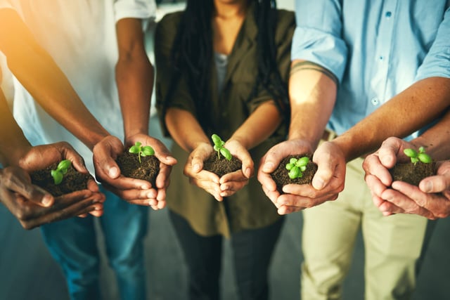 Working together to plant for the future